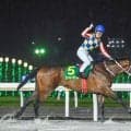 【先週のJRA抹消馬】ダート重賞9勝のシャマル、約1年1カ月の休み明けで阪急杯Vのソンシなど