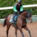 【七夕賞】３戦３勝と福島大好き！悲願の重賞初Ｖあるぞ　中竹調教師が「ここも楽しみ」と意欲見せるサヴォーナ