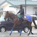 【注目馬動向】サトノレーヴはルメール騎手とのコンビでジュライＣ・英Ｇ１へ