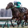 【七夕賞展望】好走データに合致する穴馬たちに注目