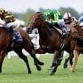 【英ジュライカップ】サトノレーヴが英G1に登録…QE2世ジュビリーS覇者アルメラクと再戦へ