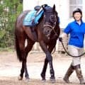 【七夕賞】心身とも本格化カラマティアノス２つ目重賞手応え