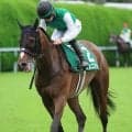 【注目馬動向】北九州記念に格上挑戦＆連闘で２着激走のジェニファーに、４着のイツモニコニコはともにＣＢＣ賞へ