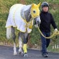【七夕賞】好気配のマイネルモーントはスタートが勝利へのカギ　高木調教師「中団か前くらいで」