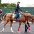 【ＰＯＧ】イッペイが武豊騎手と今週デビュー　父は快進撃を続けるエフフォーリア