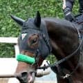 【七夕賞】立ち直ったオーロラエックスが牡馬に挑む　陣営「何とか重賞を勝たせてあげたい」