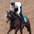 【今週のトク注新馬】祖母に英オークス馬持つキタサンブラック産駒　斉藤崇厩舎の次世代エース候補が１２日小倉で初陣