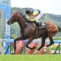 【七夕賞予想オッズ】サヴォーナが予想1番人気