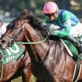【七夕賞】三浦皇成騎手が福島で重賞初制覇なるか タシットで一発狙う