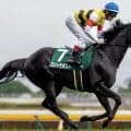 【七夕賞】ルーラーシップ産駒が10年連続のJRA重賞制覇へ コントラポスト＆センツブラッドが初タイトル狙う