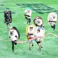 【巨人】16日ぶりに東京ドームですしレース　コハダが今季最多勝争いを独走する８勝目
