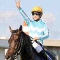 【岡田牧雄氏インタビュー中編】デアリングタクトは突然変異！？　サンデーサイレンスなど「突然変異の子が一時代を築く」