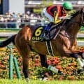 【七夕賞】夏の福島は戸崎圭太騎手にお任せ！ バトルボーンで現役単独トップの福島重賞7勝目なるか