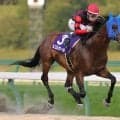 【盛岡・岩鷲賞結果】ルコルセールが重賞4連勝を飾る