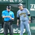 【阪神】今季初黒星の高橋＆梅野バッテリーに藤川監督「もう十分にやってくれた」信頼変わらず