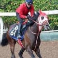 ＧＬＡＹのＴＥＲＵが武豊騎乗に感謝「こんなにも早く実現していただけるとは！」名付けたテルヒコウのレースに駆け付ける