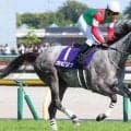 【川崎・スパーキングレディーC】マイルの牝馬ダートグレード競走 ホクトベガの背中を追う女王候補が集結 