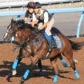 華麗な“共演”が実現！国枝栄厩務員×オジュウチョウサン初年度産駒タクミオジュウ　「面白いよね、やっぱり」