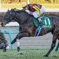 七夕賞はキングマンボ系を狙え 今年の該当馬は？