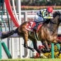 【小倉記念想定】ジョバンニ、ウエストナウなど13頭