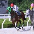 【園田競馬・京都畜産特別】雨女卒業？　佐々木世麗騎手がメイン制覇　快晴の空のもとインタビューも…　まさかのアクシデント