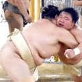 幕内・藤ノ川が場所前最後の出稽古　胸を借りた大関・霧島、琴桜に「本場所で恩返しできるように」