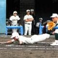 宮崎日大などシード4校が3回戦へ　タイブレークも2試合　宮崎大会