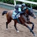 【七夕賞】福島大好き！３戦全勝サヴォーナは前走よりも上昇　中竹調教師「状態自体は全然違うし見た目的にも...」