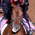 【スパーキングＬＣ】唯一の３歳馬タマモフリージアは古馬と初対決で２着　田口貫太騎手「最後はこの馬らしい脚」