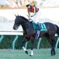 【七夕賞予想】AIの指名馬は上位人気の一角 評価ポイントは「血統」と「キャリア」