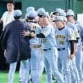 【阪神】藤川監督「とにかく明るく軽やかに、どんどん向かっていきたい」同率首位浮上／一問一答