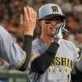 阪神25歳に“ドン引き”「飛ばしすぎや」　6月は衝撃1.202…虎党も確信「リーグ最強打者」