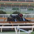 ムルソー、マーキュリーC1週前追い切り速報/栗東トレセンニュース