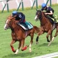 【ＰＯＧ】武豊騎手が「背中は悪くない」とジャッジ　１２日函館デビューの良血イッペイがどんな走り見せるか　