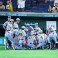 【阪神】１位で並ぶ巨人との首位攻防戦、行方は？梅野隆太郎が今季初の３試合連続スタメンマスク