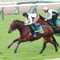 【ＰＯＧ】父が海外Ｇ１・４勝フレイコンはスピード十分　陣営「ジョッキーの感触も良かった」　１１日函館５Ｒでデビュー