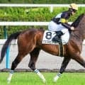 【西部スポニチ賞】半姉は名牝ストレイトガール アスクエピソードが約3年ぶりの勝利なるか