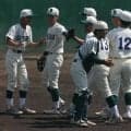 【高校野球】秩父が19得点コールド発進　３回に打者一巡の猛攻で一挙８点／埼玉