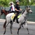 【ＰＯＧ】キタサンブラック産駒の牝馬ジーティーマドンナが１１日函館で初陣　陣営「気持ちも新馬向きで真面目」