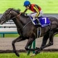 先輩クロワに続け！ キタサン×斉藤崇史厩舎のエルドボルグが初陣だ