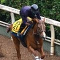 【注目馬動向】北九州記念５着のアブキールベイはＣＢＣ賞へ　３着ヨシノイースターはセントウルＳを視野