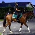 【ＰＯＧ】母はオークス４着馬アトランタが好仕上がり　１２日小倉の初陣へ高柳大調教師「ゲートが速くて気性が前向き」