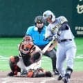 【阪神】森下翔太が今季２度目の２戦連発！キング独走22号２ラン