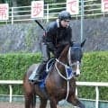 【小倉記念・１週前】今期充実のウエストナウが重賞初勝利へ　寺島調教師「馬も成長してくれています」