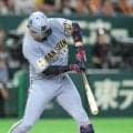 阪神・大山　マルチ４打点「何点あってもいい」１２安打１０点打線けん引　佐藤輝＆森下に続く打点セ単独３位