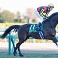 【七夕賞枠順確定】カラマティアノスは2枠4番、サヴォーナは8枠16番