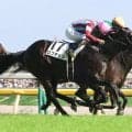 【注目馬動向】史上９頭目の３冠へ　ロブチェンは菊花賞見据えて神戸新聞杯から始動予定
