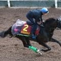 【注目馬動向】ヴィクトリアマイル４着のエリカエクスプレスはクイーンＳへ　鞍上は引き続き武豊騎手