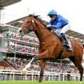 カーインライジングが１ポンドの上方修正で世界ランク１位を守る　英Ｇ１で４馬身差圧勝のオンブズマンがトップタイに浮上