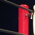 格闘家に呼び出され響く怒声「まだ決まってないんじゃ！！」…恐怖に震えた４０分と裏を取る大切さ